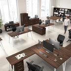 Classeur latéral à 2 tiroirs Bush Business Furniture Vista