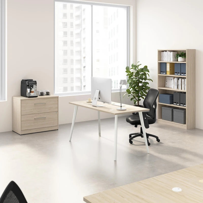 Classeur latéral à 2 tiroirs Bush Business Furniture Vista