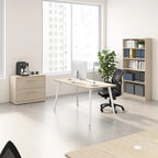 Classeur latéral à 2 tiroirs Bush Business Furniture Vista