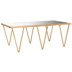 Table basse SAFAVIEH Armida, finition feuille d'or antique - 122 x 46,5 x 68,5 cm (48 po L x 18 po P x 27 po H)